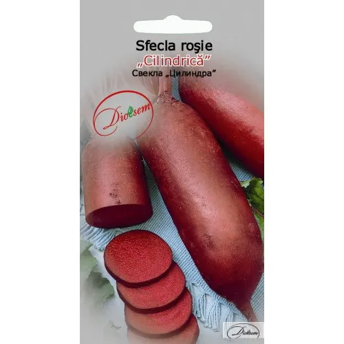 Semințe de legume, flori și tot pentru gazon - Seminte de Sfecla rosie Cilindrica 3 g (1209 91 300)  DS