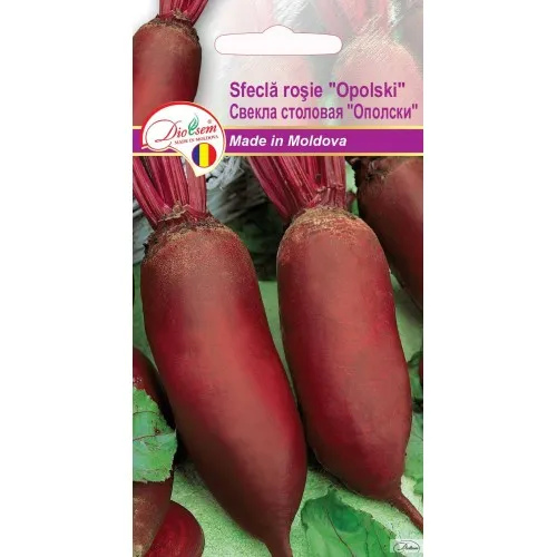 Semințe de legume, flori și tot pentru gazon - Seminte de Sfecla rosie Opolski 3 g (1209 91 300)  DS
