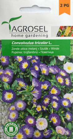Semințe de legume, flori și tot pentru gazon - Seminte de Zorele pitice 2 g (1209 30 000)  AS