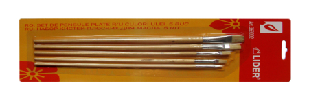 Scule pentru finisaje. Scule de vopsitorie - Set de pensule pentru ulei 5 buc. plate