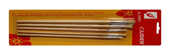 Scule pentru finisaje. Scule de vopsitorie - Set de pensule pentru ulei 5 buc. rotunde