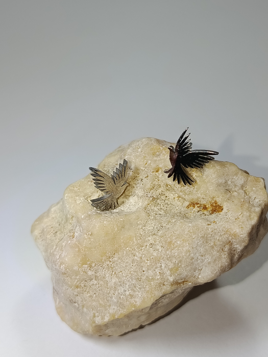 Cercei argintii pasăre din inox hipoalergenic „Aripile Dimineții" [2]