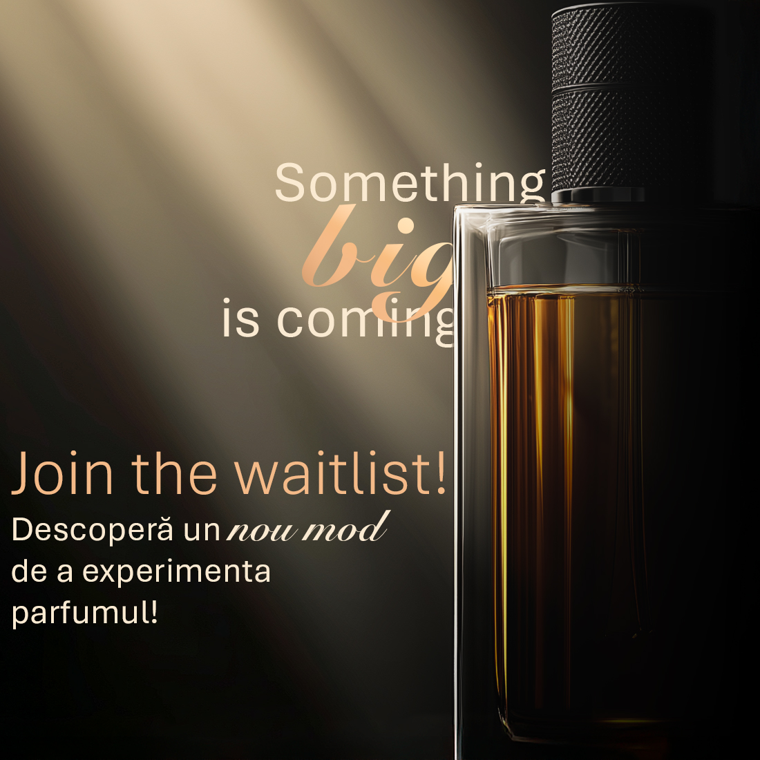 În curând dăm startul la shopping! Înscrie-te și fii primul care descoperă lumea Venara Scent.