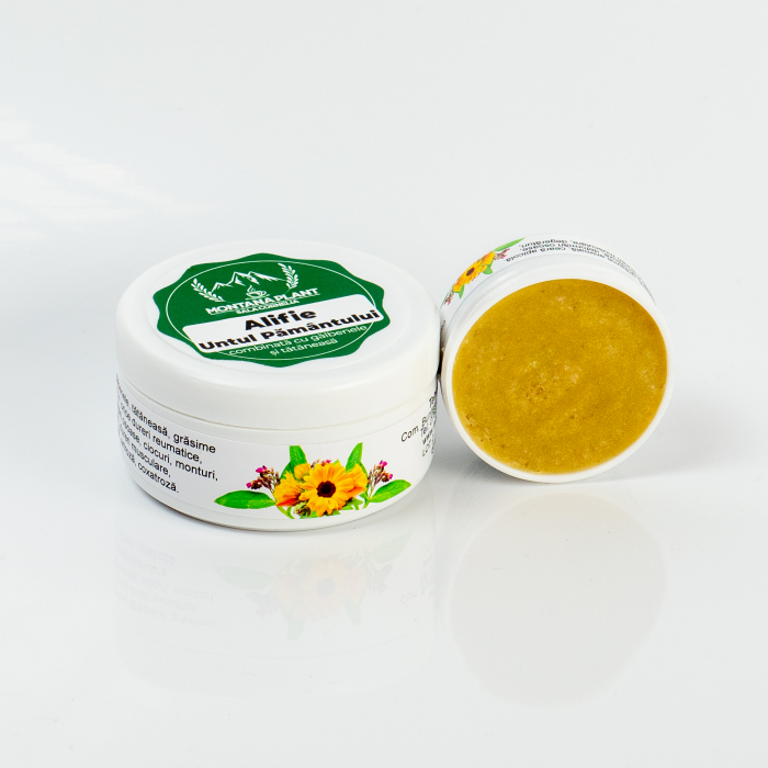 Alifie cu Untul Pământului – Tratament Natural pentru Dureri Reumatice [2]