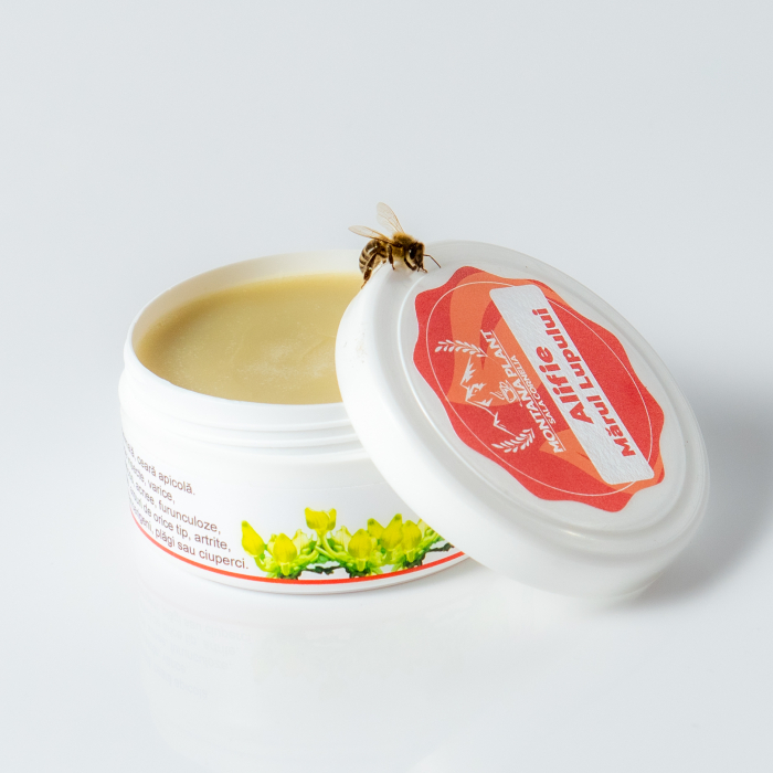 Alifie Marul Lupului [2]