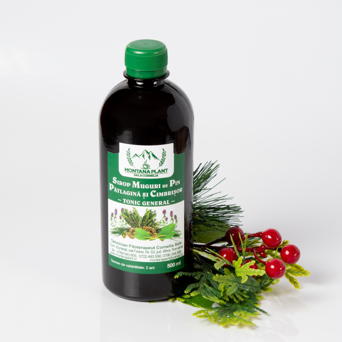 Sirop natural din muguri de pin, pătlagină și cimbrișor – 500ml, tonic respirator și general, Verde de Apuseni [1]