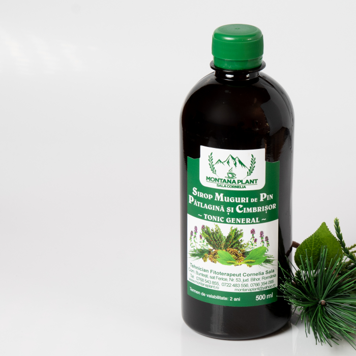 Sirop natural din muguri de pin, pătlagină și cimbrișor – 500ml, tonic respirator și general, Verde de Apuseni [2]