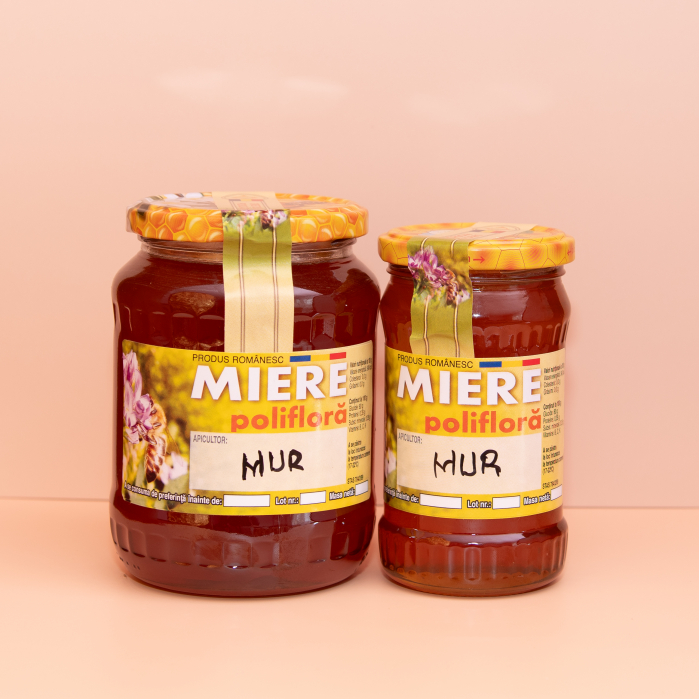 Miere de Mur Apuseni – 1kg [2]