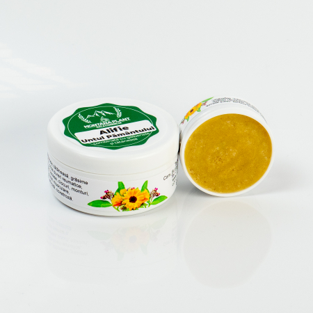 Alifie cu Untul Pământului – Tratament Natural pentru Dureri Reumatice [1]