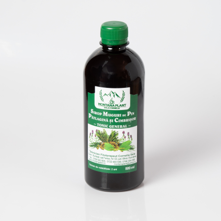Sirop natural din muguri de pin, pătlagină și cimbrișor – 500ml, tonic respirator și general, Verde de Apuseni [2]