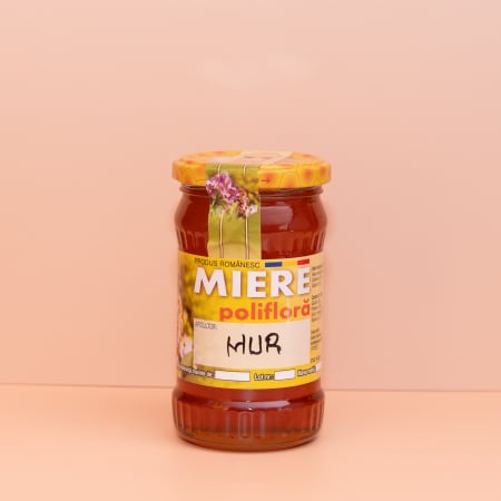 Miere de Albina 100% Naturala - Miere de Mur Naturală – 400g Apuseni