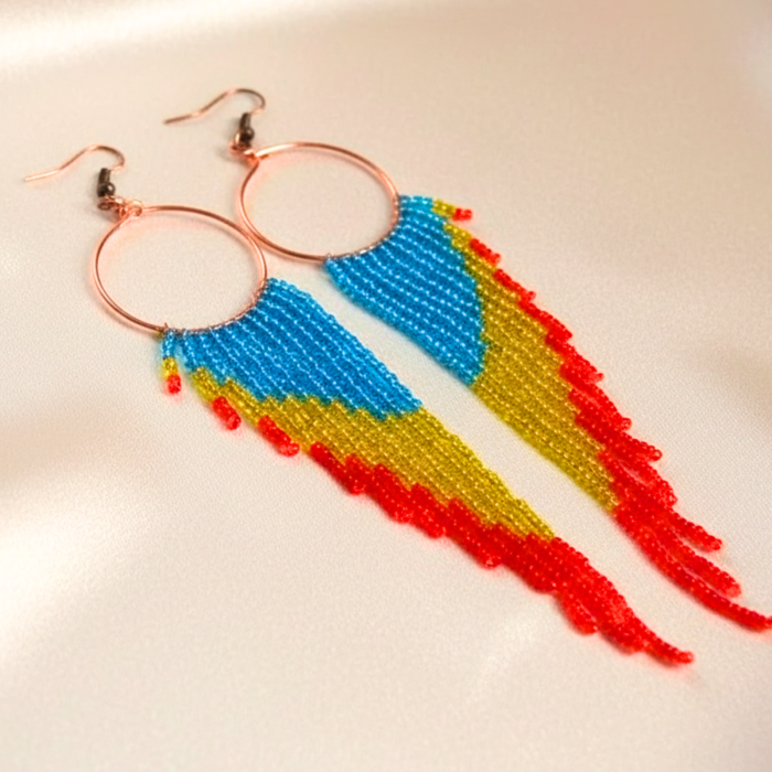 Cercei lungi cu franjuri tricolore [1]