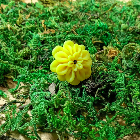 Inel reglabil cu floare dalie galbenă [10]