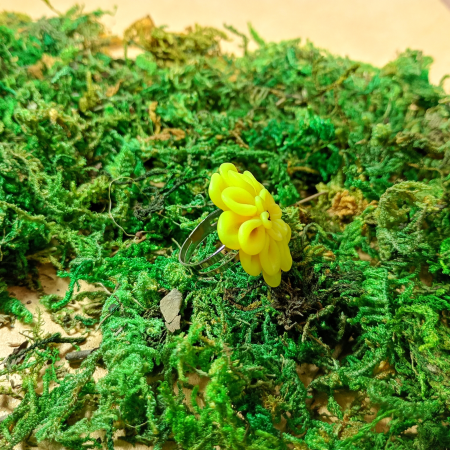 Inel reglabil cu floare dalie galbenă [9]