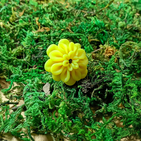 Inel reglabil cu floare dalie galbenă [2]