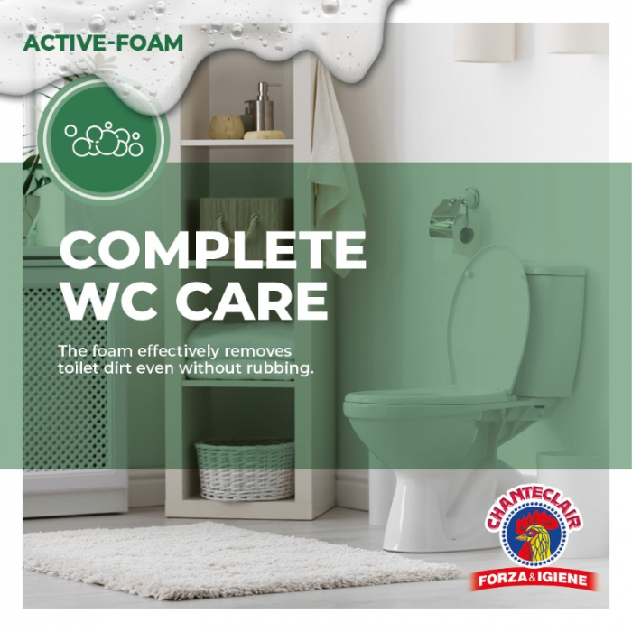 Chante Clair Detartrant Solutie Spuma Pentru WC 625 [4]