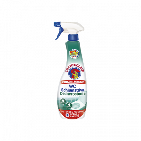 PRODUSE CURATENIE BAIE - Chante Clair Detartrant Solutie Spuma Pentru WC 625