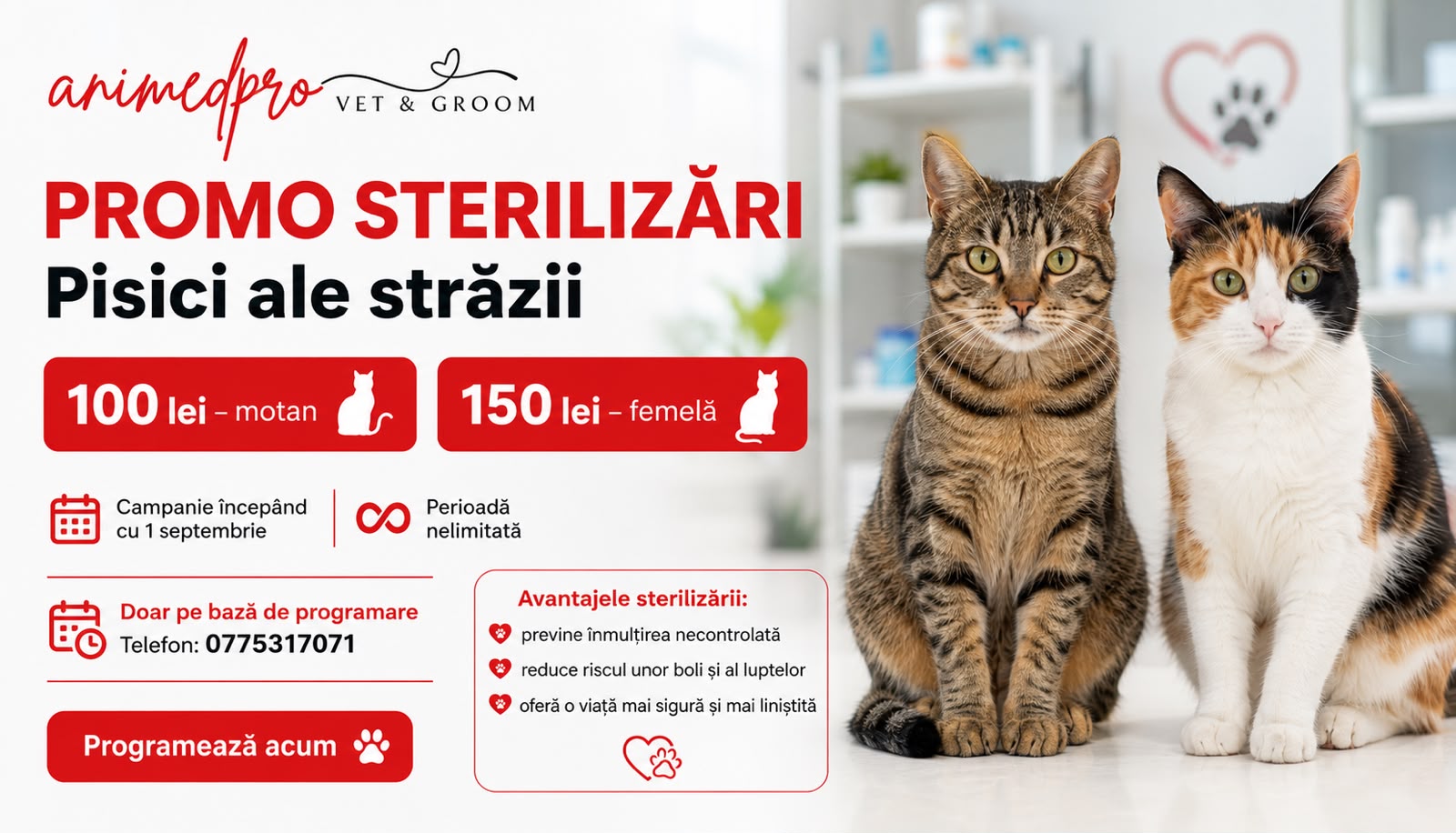 Sterilizări desktop