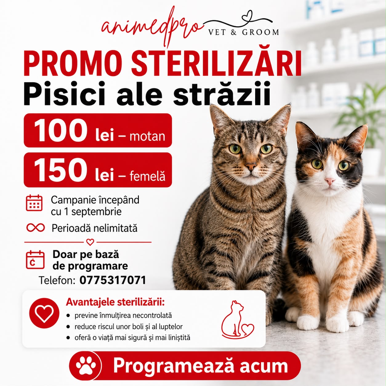 Sterilizări mobil
