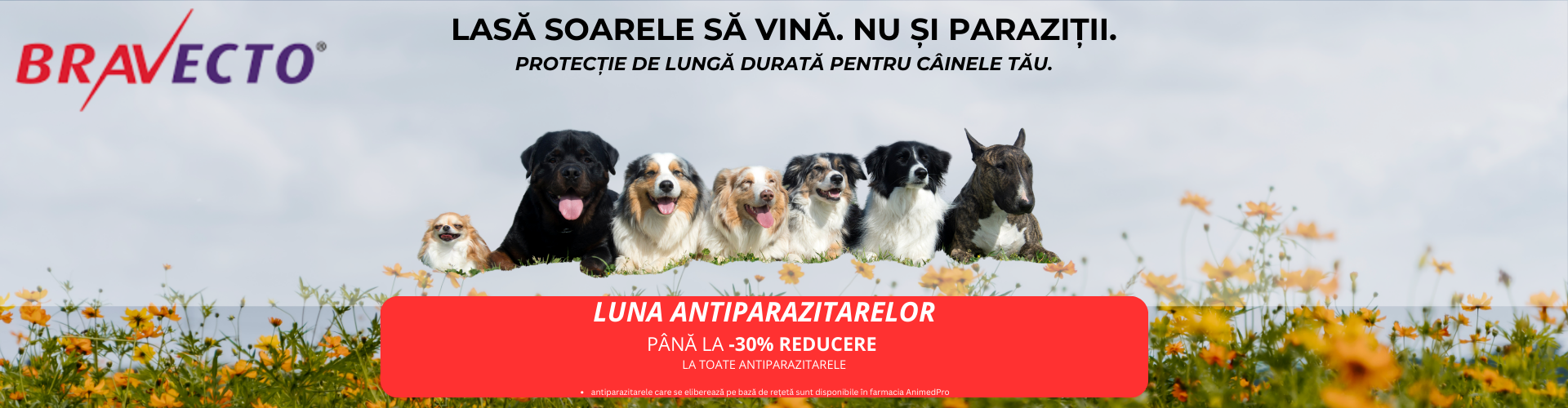 Banner Antiparazitare