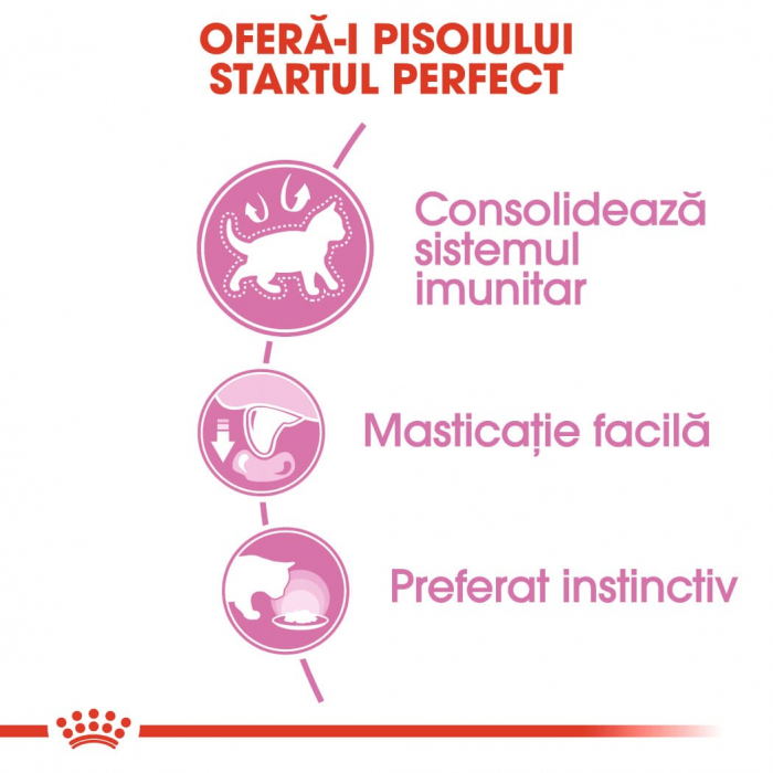 Royal Canin Kitten hrana umeda pisica (pate), 85 g [4]
