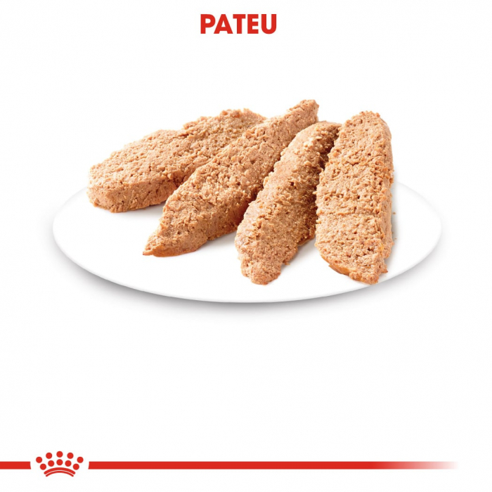 Royal Canin Kitten hrana umeda pisica (pate), 85 g [3]