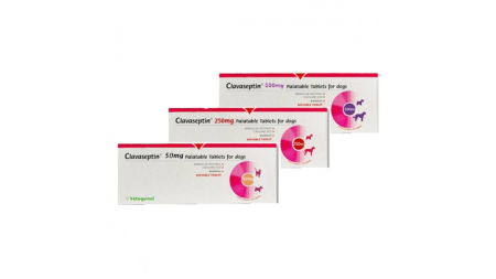 Antibiotice şi Antiinflamatoare Câini - Clavaseptin 500mg 10 comprimate