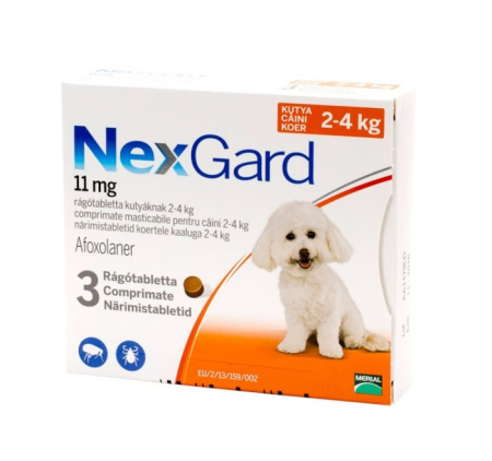 Farmacie Câini - Nexgard Dog S 2-4 kg 11 mg comprimat antiparazitar caini mici