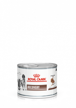 Diete Veterinare - Hrană Umedă Pisici - Royal Canin Dog&Cat Recovery 195g