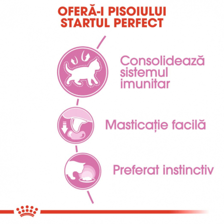 Royal Canin Kitten hrana umeda pisica (pate), 85 g [3]