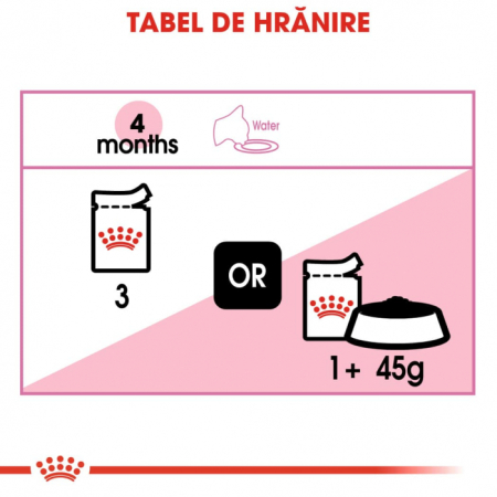 Royal Canin Kitten hrana umeda pisica (pate), 85 g [1]