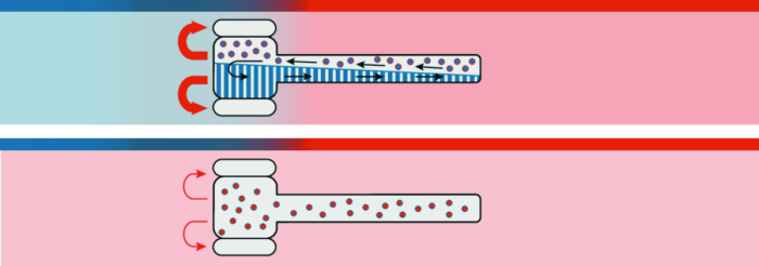 Colector solar Vitosol 200-TM cu boiler Vitocell, bivalent, de 300 l cu modul SDIO/SM1A (numai în combi + kit evecuare gaze naţie cu Vitodens 200 B2HF) [3]