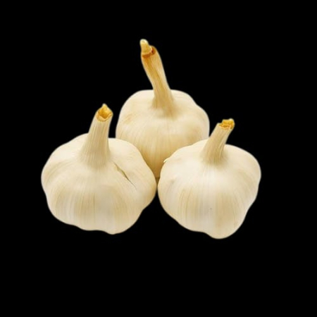 Fructe si LEgume - Usturoi