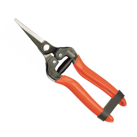 Produse vinificatie - Foarfeca profesionala recoltare, Stocker