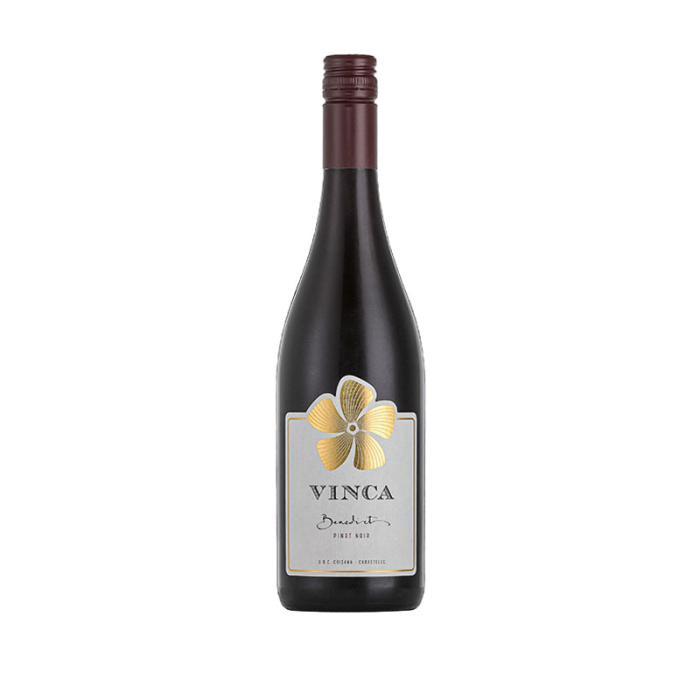 CARASSIA Vinca Benedict - 2024 [2]