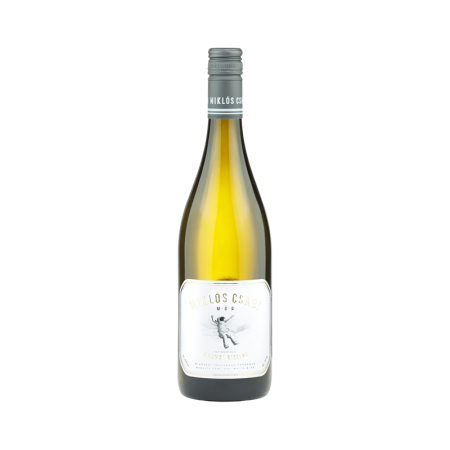 Vinuri albe - MIKLÓS CSABI - Riesling de Rhin 2024