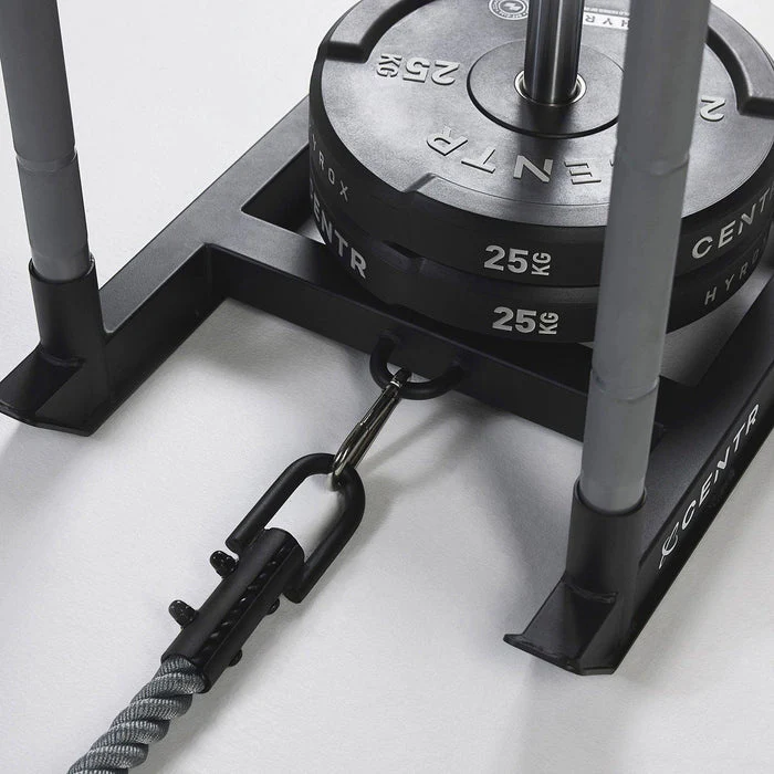 Centr x Hyrox Competition Power Sled [7]