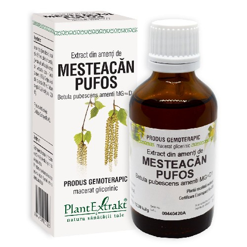 Extract Amenti de Mesteacan Pufos 50ml Plantextrakt [2]