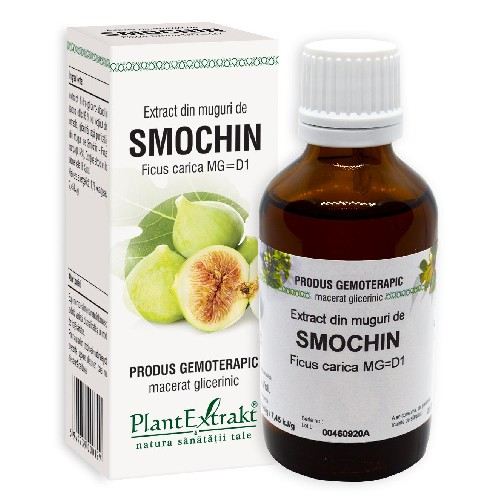 Extract din Muguri de Smochin 50ml Plantextrakt [2]