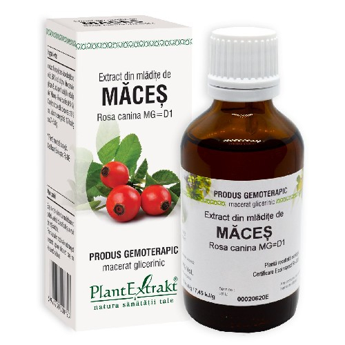 Extract Maces 50ml Plantextrakt [2]