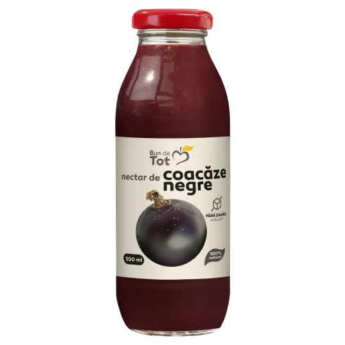 SGR-Nectar de Coacaz Negru 300ml Dacia Plant [2]