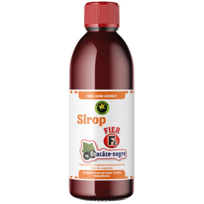 Sirop Fier cu Coacaze Negre, Indulcit cu Stevie, 500ml, Hypericum [2]
