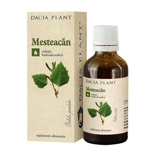 Tinctura de Mesteacan 50ml Dacia Plant [2]