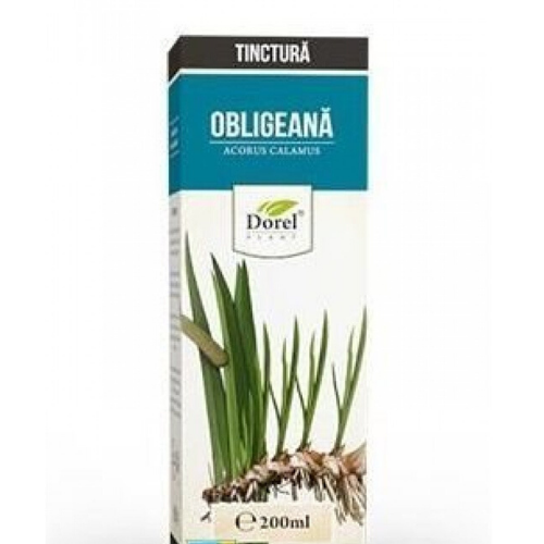 Tinctura Obligeana, 200ml, Dorel Plant [2]