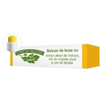 Unguente, geluri, solutii - Balsam Buze Morcovi 4gr  Verre de Nature
