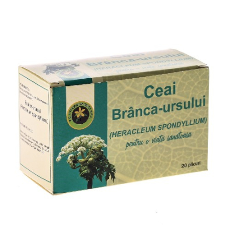 Ceai Branca Ursului 20dz Hypericum [0]