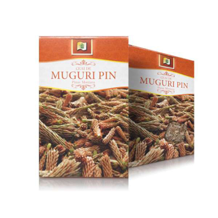 Atelierul de cafea si ceaiuri - Ceai Muguri Pin 50gr Stefmar