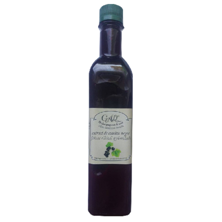 Imunitate - Extract de Coacaze Negre 500ml Gall