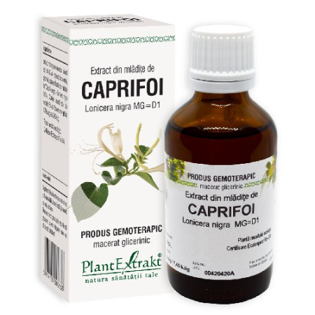 Imunitate - Extract de Mladite de Caprifoi Plantextract 50ml