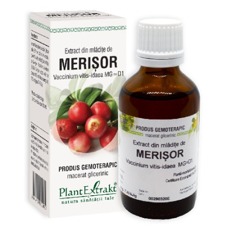 Extract din Mladita de Merisor 50ml, Plantextrakt [1]